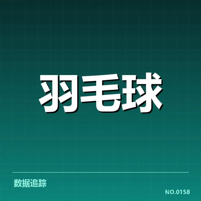 女双战术配合解读：赛场背后策略与合作细节