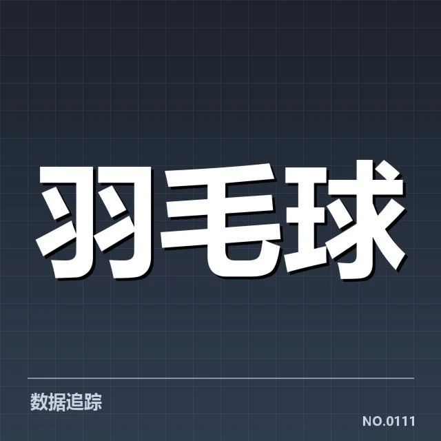已确认的主要战术配合形式